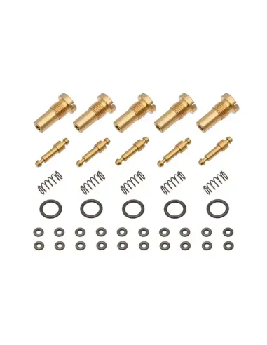 Kit Mantenimiento Vávula Input MWS - CGS