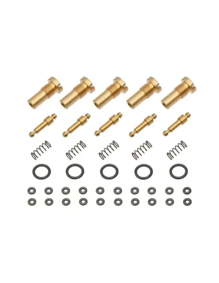 Kit Mantenimiento Vávula Input MWS - CGS