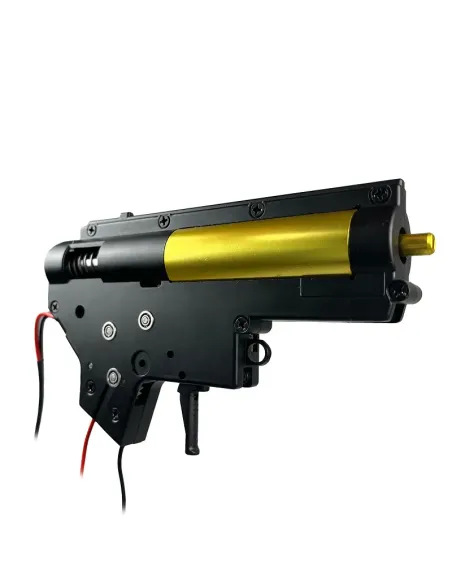 Gearbox completo con motor - Neptune - Rossi